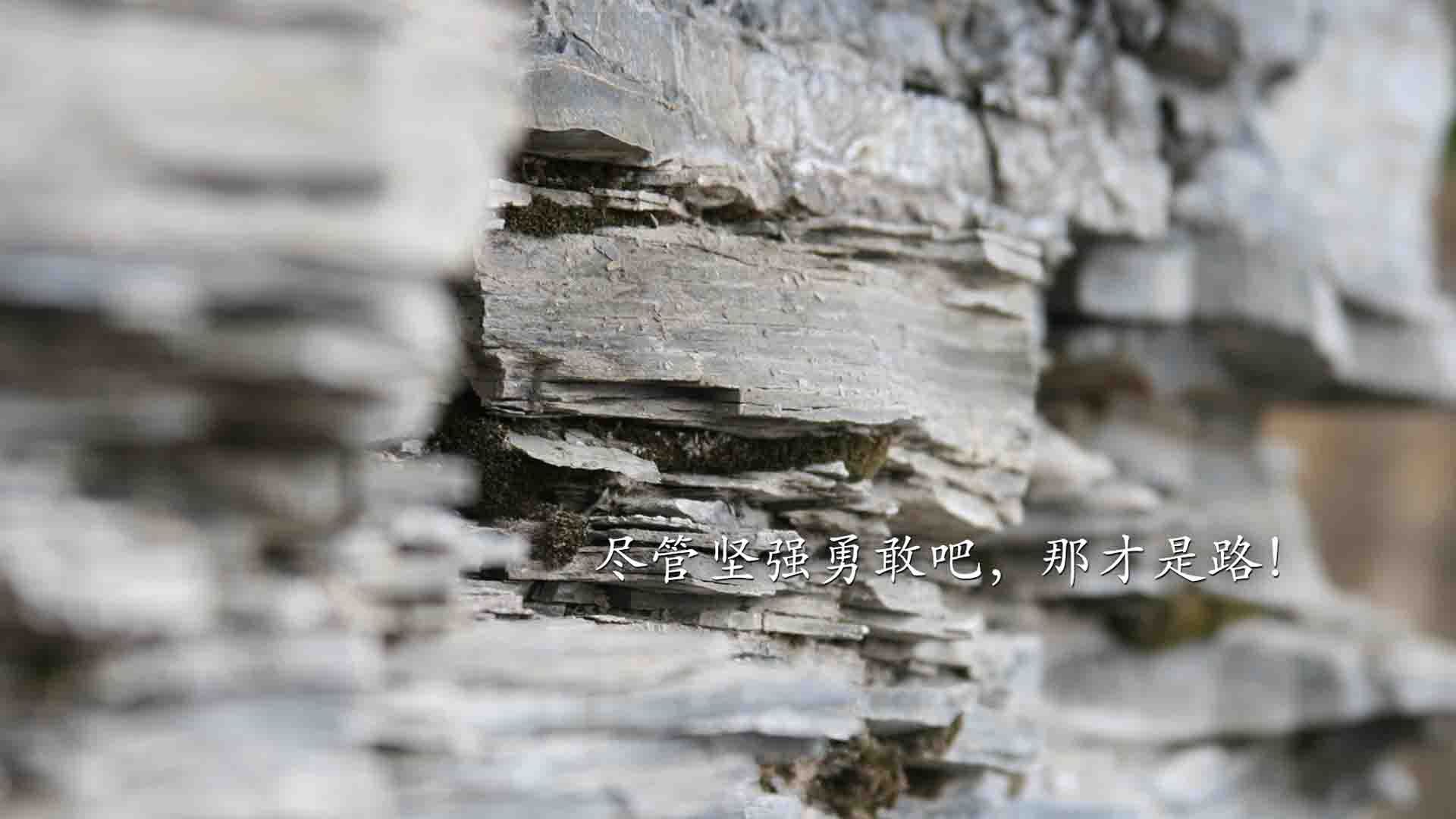 kering.com-世界杯中国女足战平 球迷期待战术调整，中国足球女足世界杯
