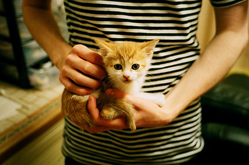 图赫尔称赞球队执行力和精神力,图赫尔执教能力