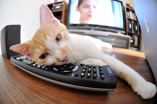 “华金·托比利亚的精准拦截与敏捷反应，带领阿根廷美洲狮队不断突破”