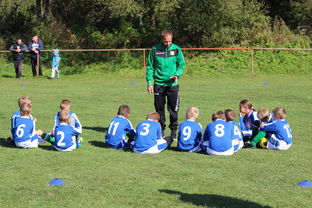 开云网址-德甲客场战术大公开，德甲打法