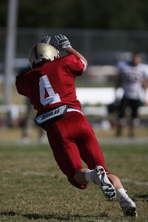 开云体育中国官方网站-校园足球支持学生裁判项目拓展多元职业通路，普通高校足球专业学生裁判能力的培养
