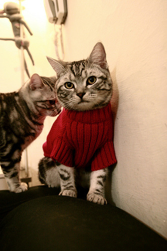 开云平台-梅西亲自主导，阿根廷稳步迈向世界杯