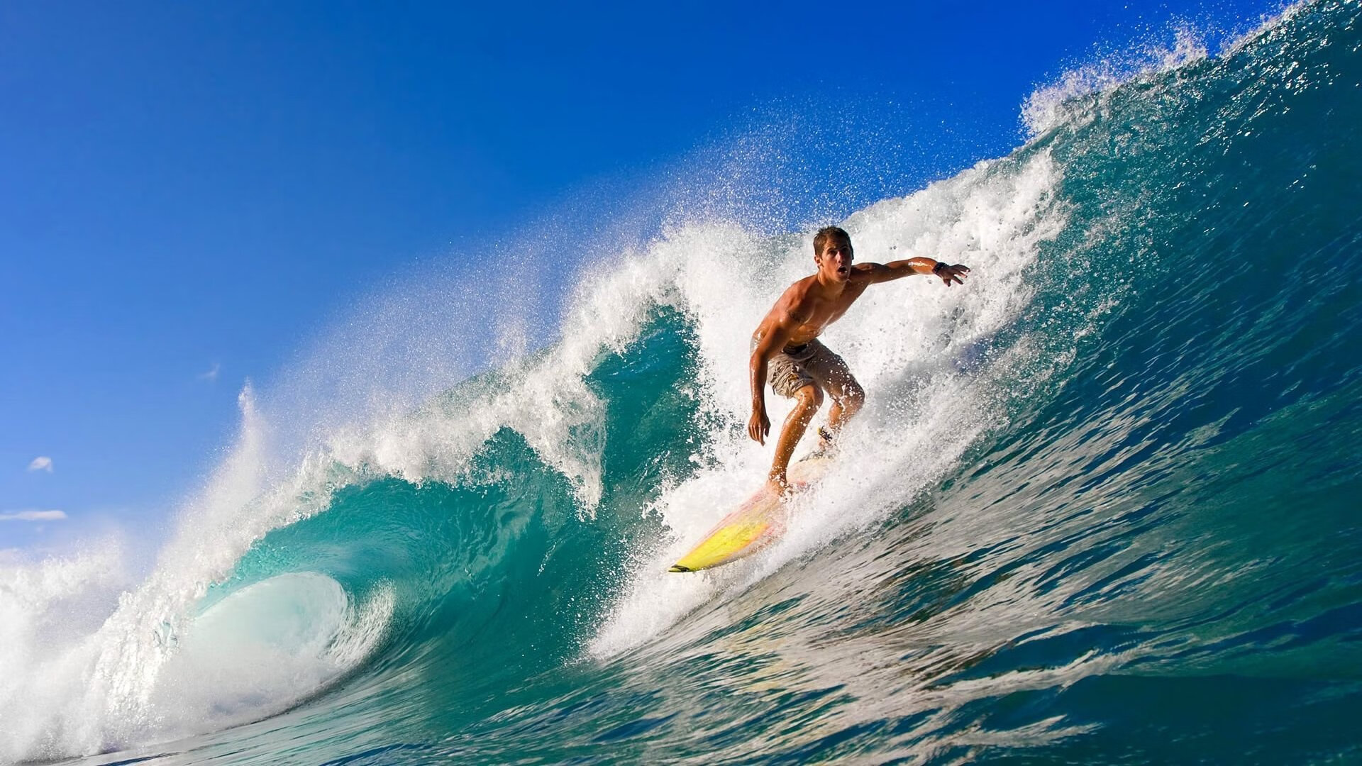 “高新体育中心武术赛：刀枪剑戟展现力量与美学的完美融合”